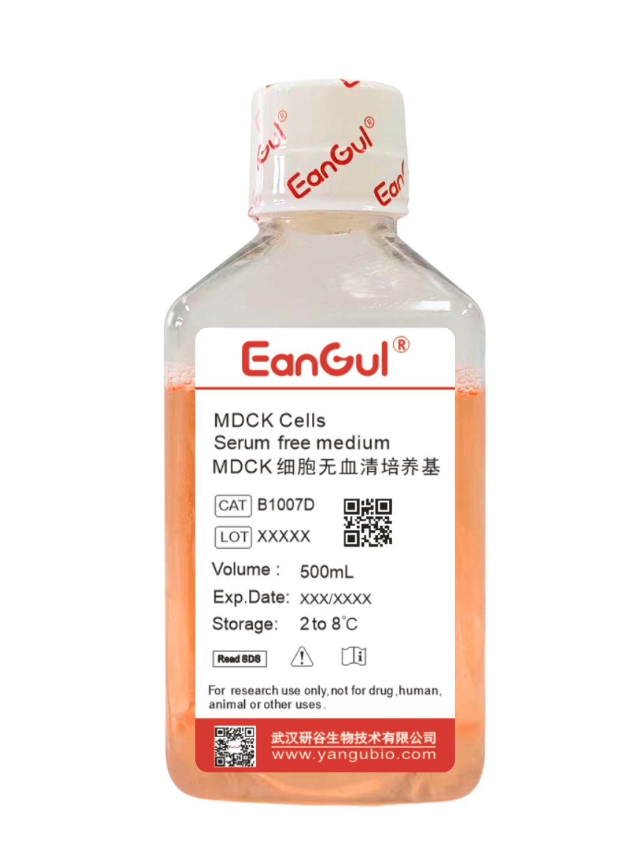 MDCK细胞无血清培养基(500mL)