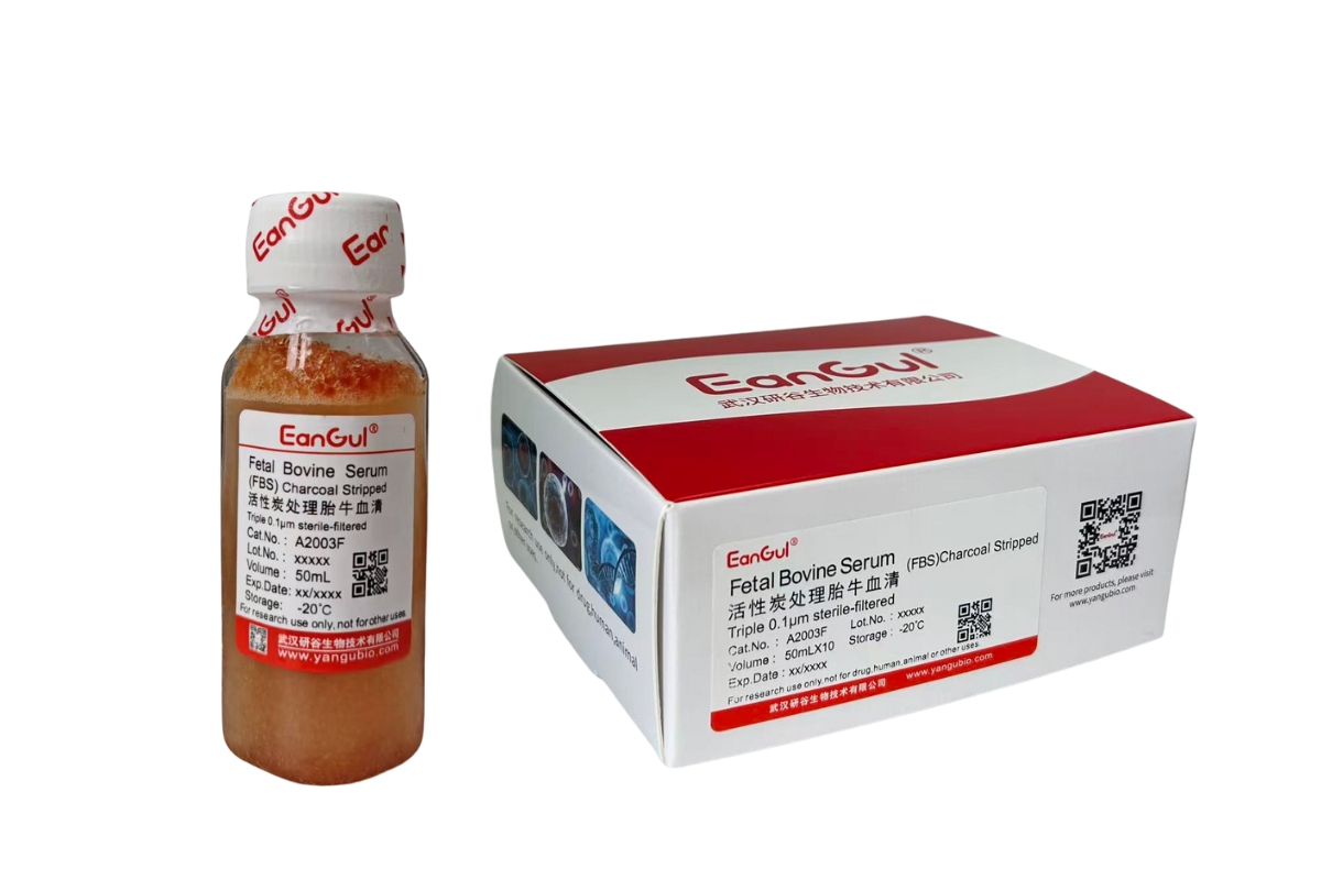 活性炭处理胎牛血清(50mLx10）免分装