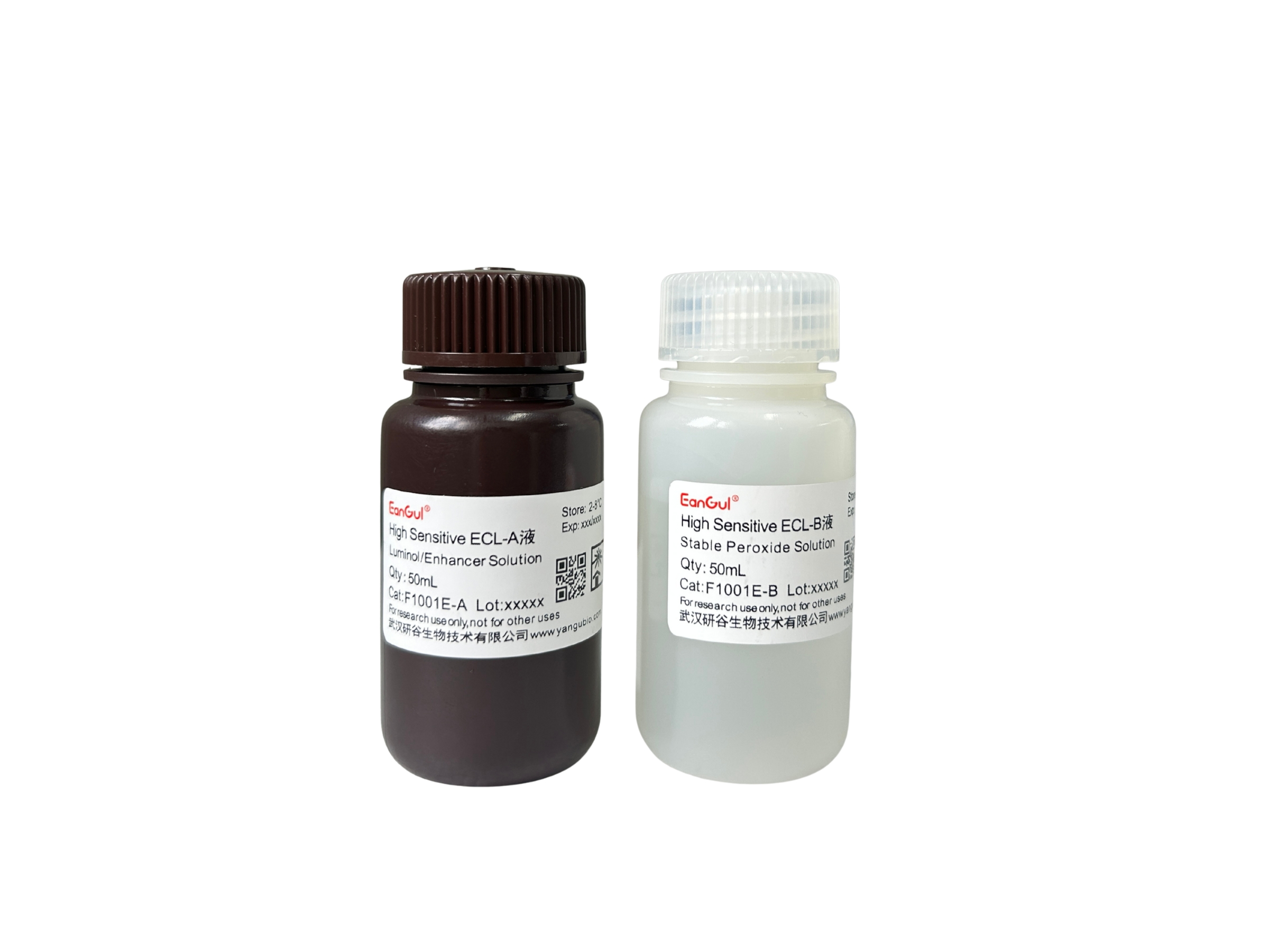 高敏ECL化学发光底物试剂盒 A50mL+B50mL