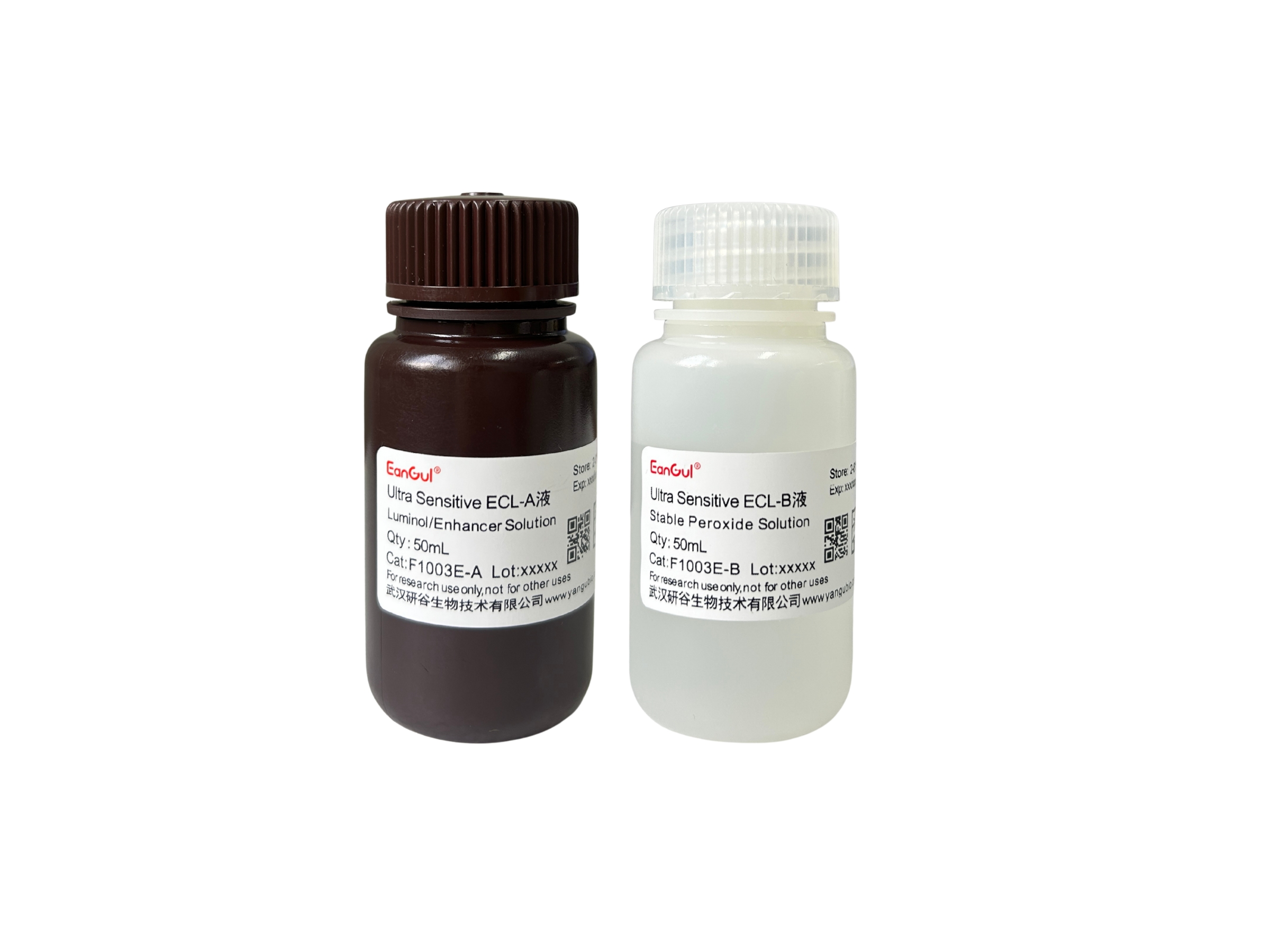 特超敏ECL化学发光底物试剂盒 A50mL+B50mL