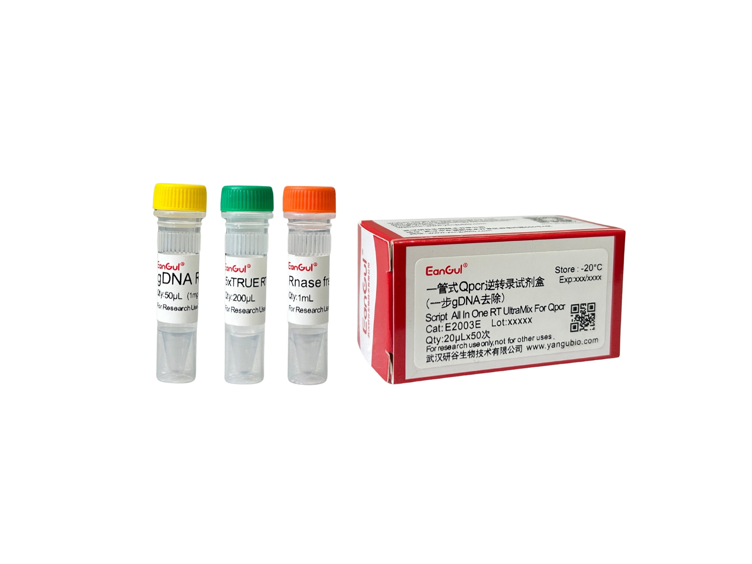 一管式Qpcr逆转录试剂盒(一步gDNA去除) 20ulx50T