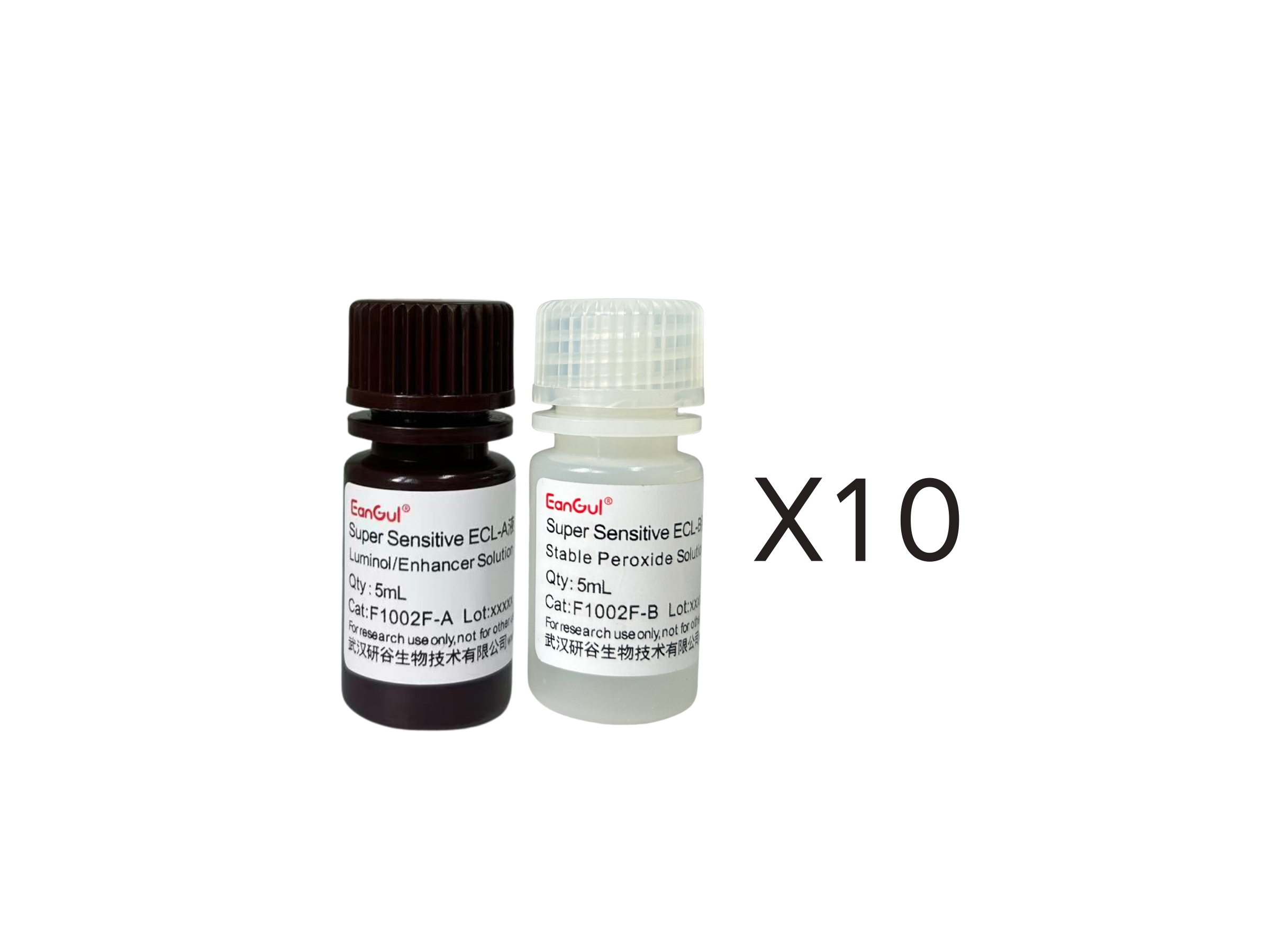 超敏ECL化学发光底物试剂盒免分装(A5mL+B5mL)x10