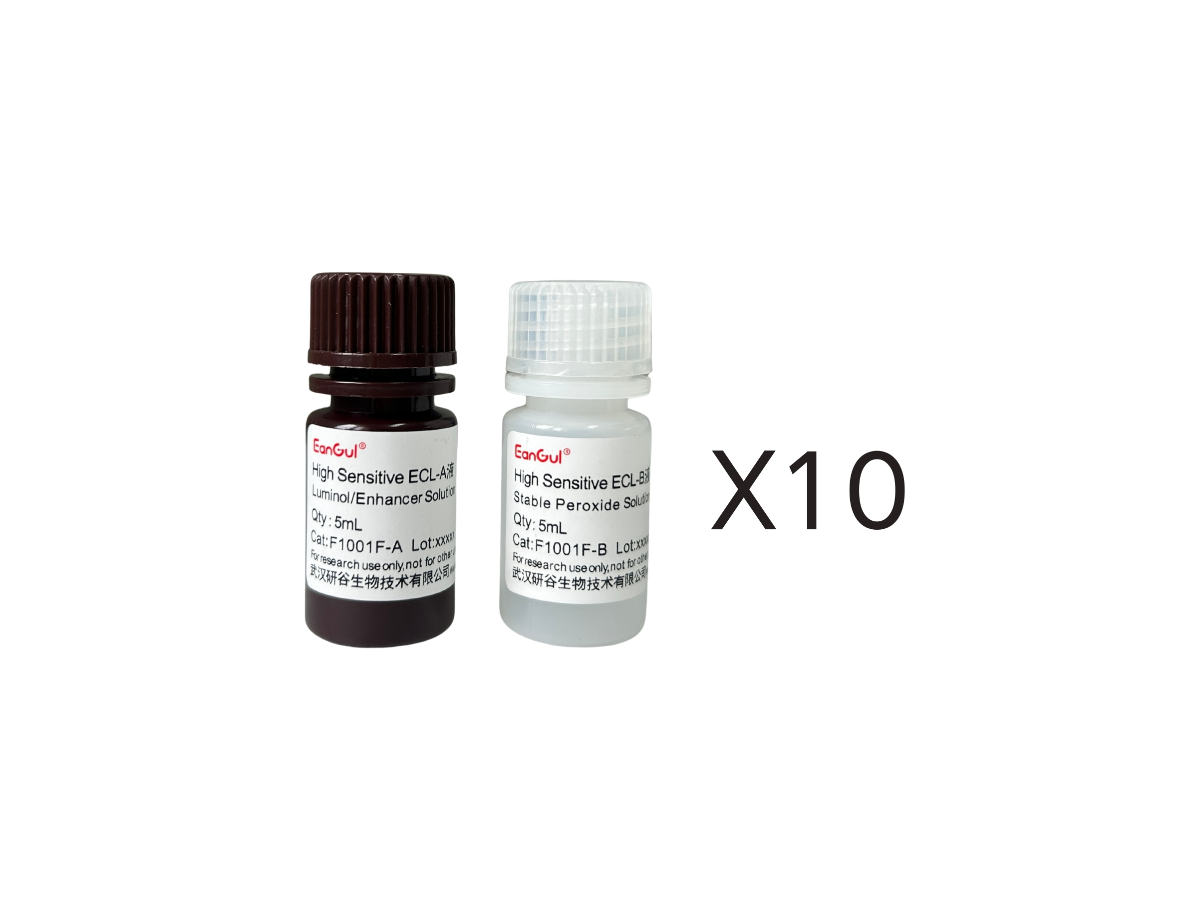 高敏ECL化学发光底物试剂盒免分装(A5mL+B5mL)x10