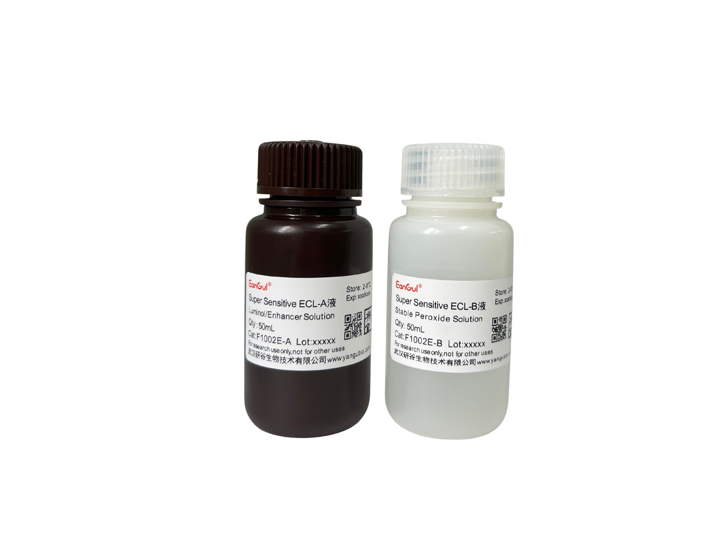 超敏ECL化学发光底物试剂盒  A50mL+B50mL