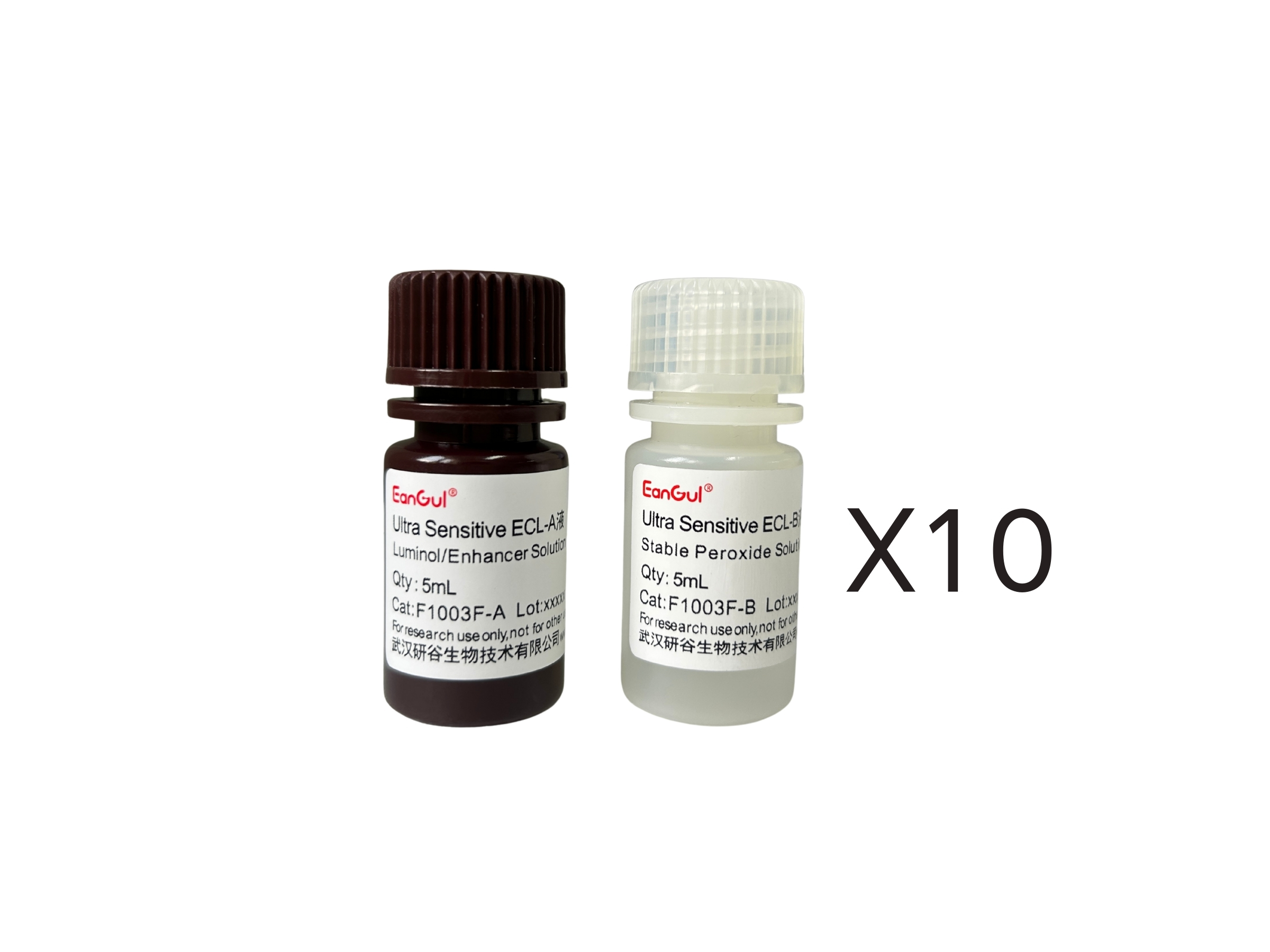 特超敏ECL化学发光底物试剂盒免分装(A5mL+B5mL)x10